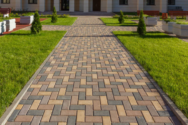 Best Asphalt Driveway Pavers in Maynardville, TN